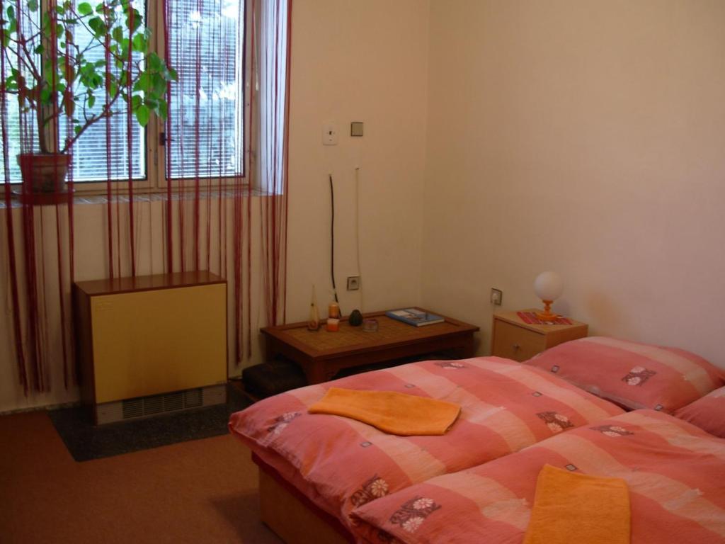 Penzion Hlinkova Plzeň Cameră foto